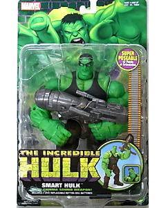 Toy Biz 2004 Smart Hulk Action Figure